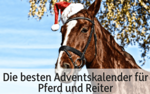 Die besten Adventskalender für Pferd und Reiter