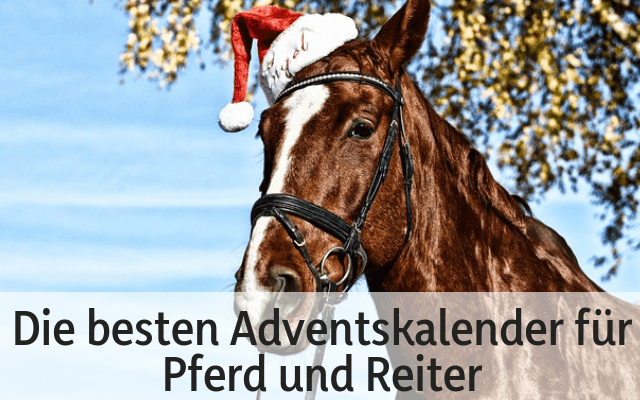 Pferd Reiter Adventskalender