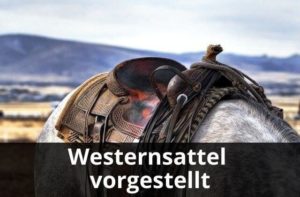 Westernsattel vorgestellt