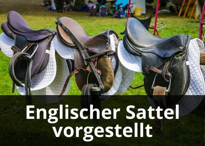 Englischer Sattel vorgestellt