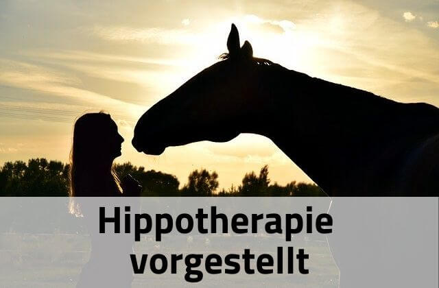 Hippotherapie vorgestellt