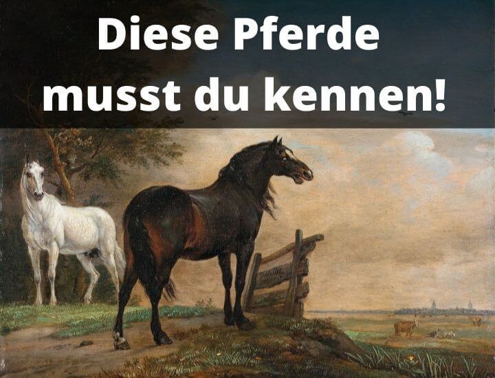 Berühmte Pferde im Überblick