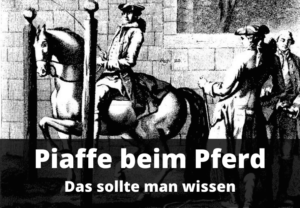 piaffe beim pferd