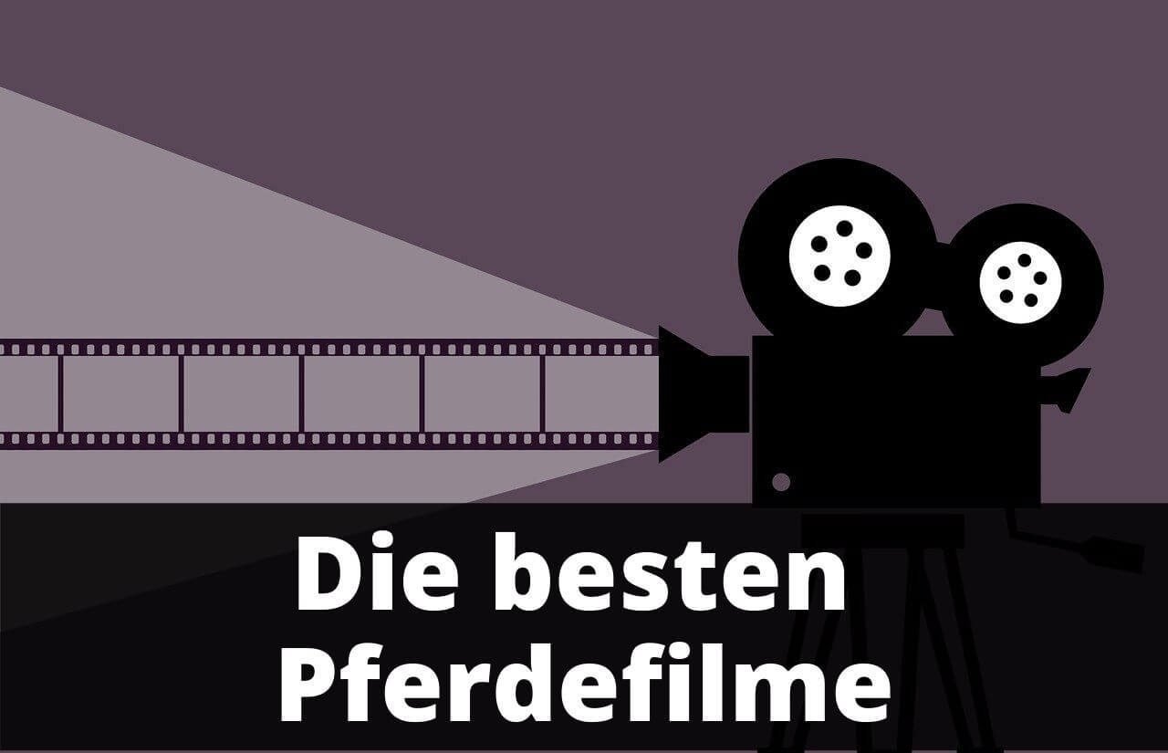 Die besten pferdefilme im Überblick